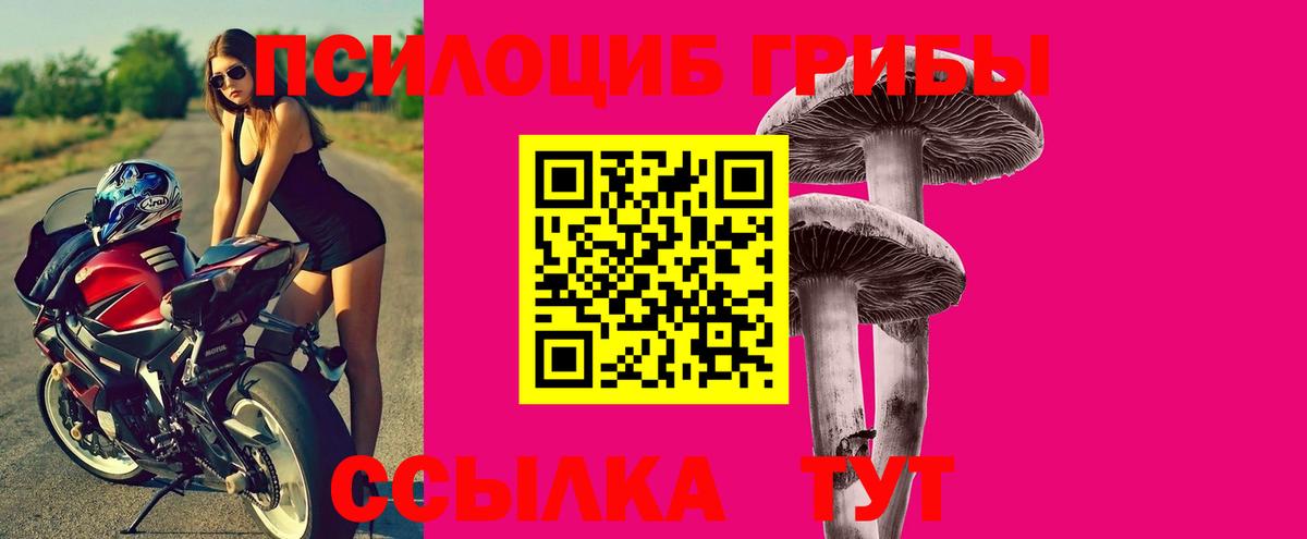Галлюциногенные грибы Psilocybe Советский